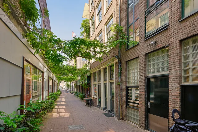 listing-e9dd43e0-50cb-4921-b4ee-594e06b539c6-279203836.jpg
